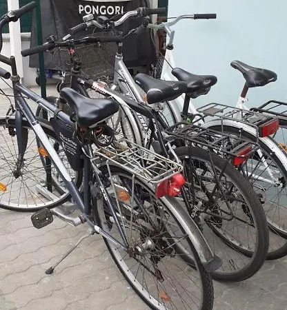 La Playa Nei Pressi Del Mare Montesilvano Marina