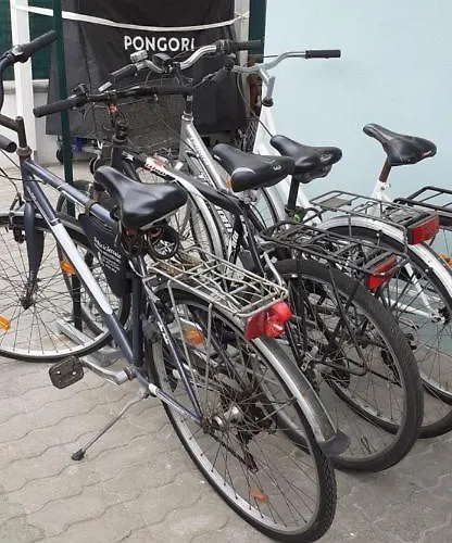 La Playa Nei Pressi Del Mare Montesilvano Marina
